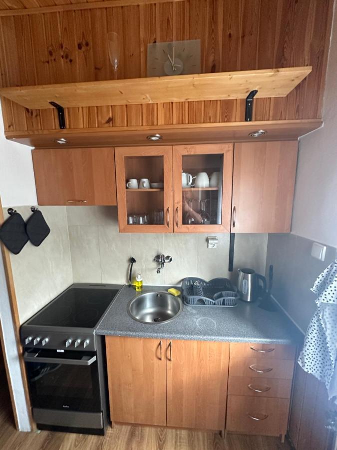 U Kubinu Apartment Jachymov Luaran gambar