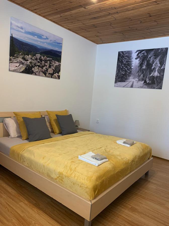 U Kubinu Apartment Jachymov Luaran gambar